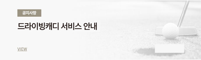 드라이빙캐디 서비스 안내